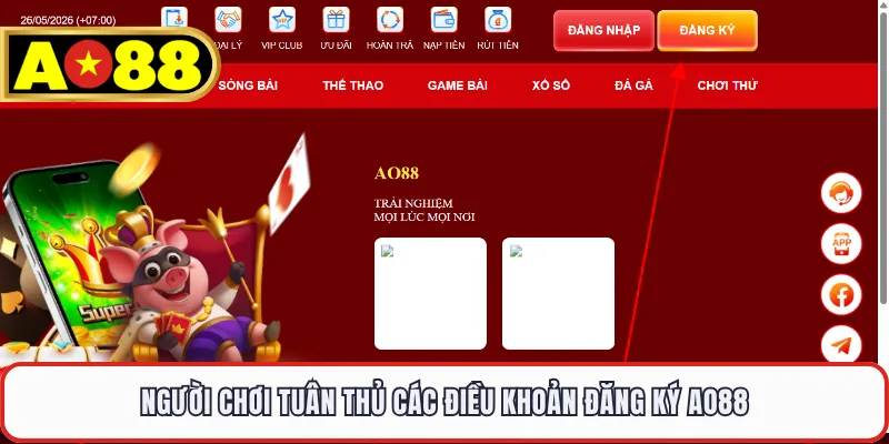 Người chơi tuân thủ các điều khoản đăng ký AO88