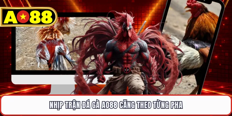 Nhịp trận đá gà AO88 căng theo từng pha
